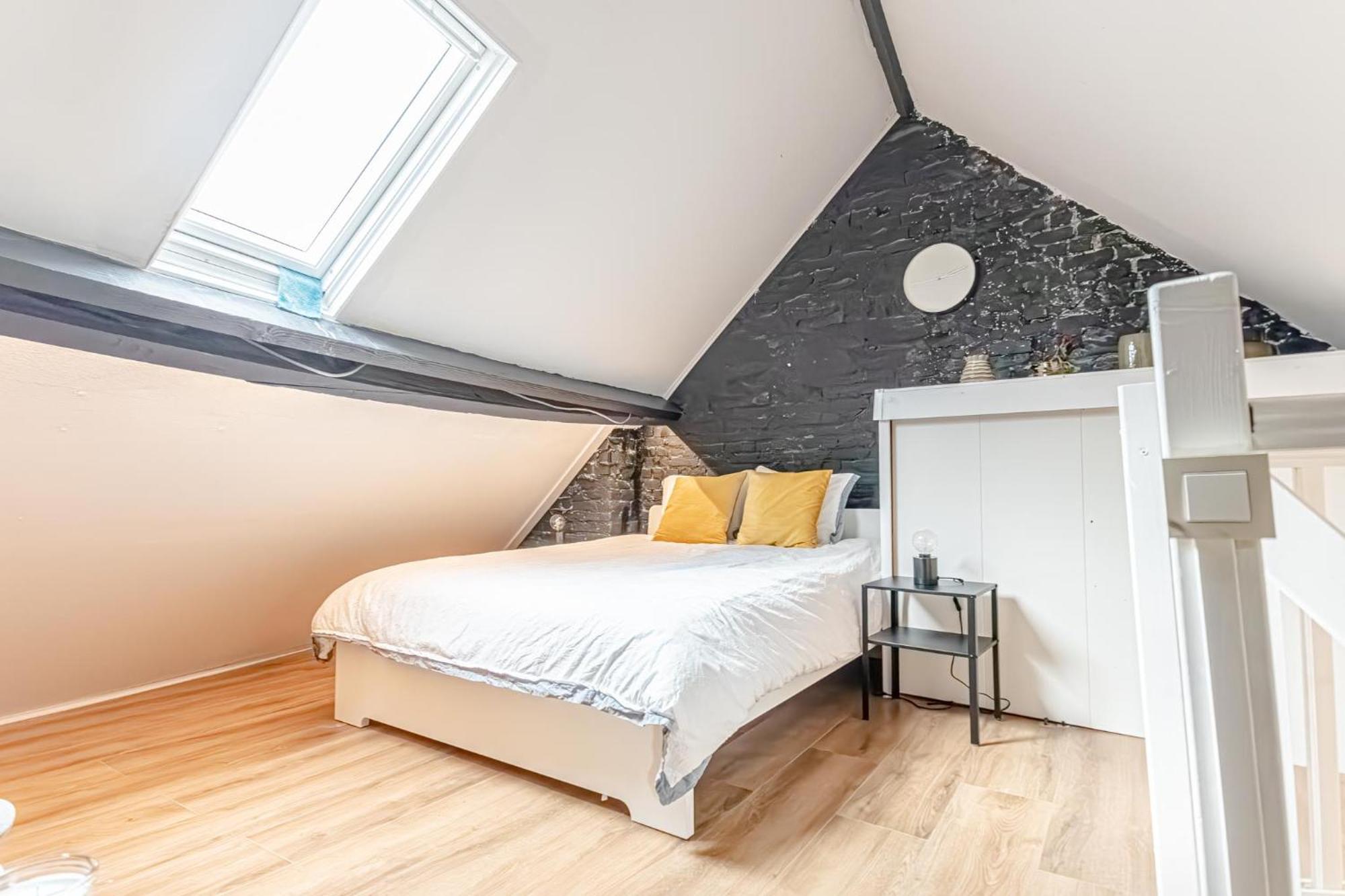 Spacious Shared 5Br Apt In The Heart Of Gent Kültér fotó